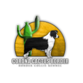 Corona Cactus Border